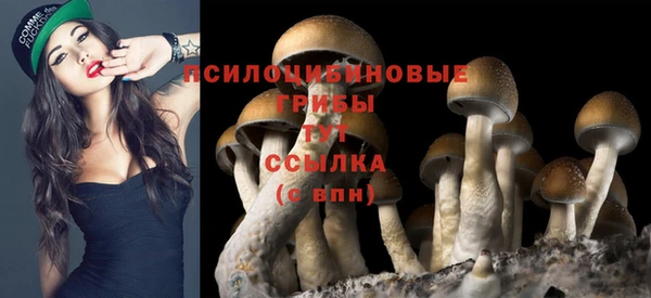 мдма Горнозаводск