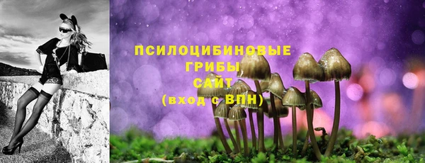мдма Горнозаводск