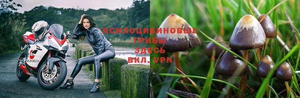 хмурый Горняк