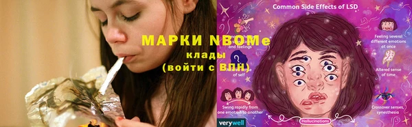 дмт Весьегонск
