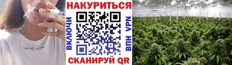 hydra ONION Данилов МАРИХУАНА план